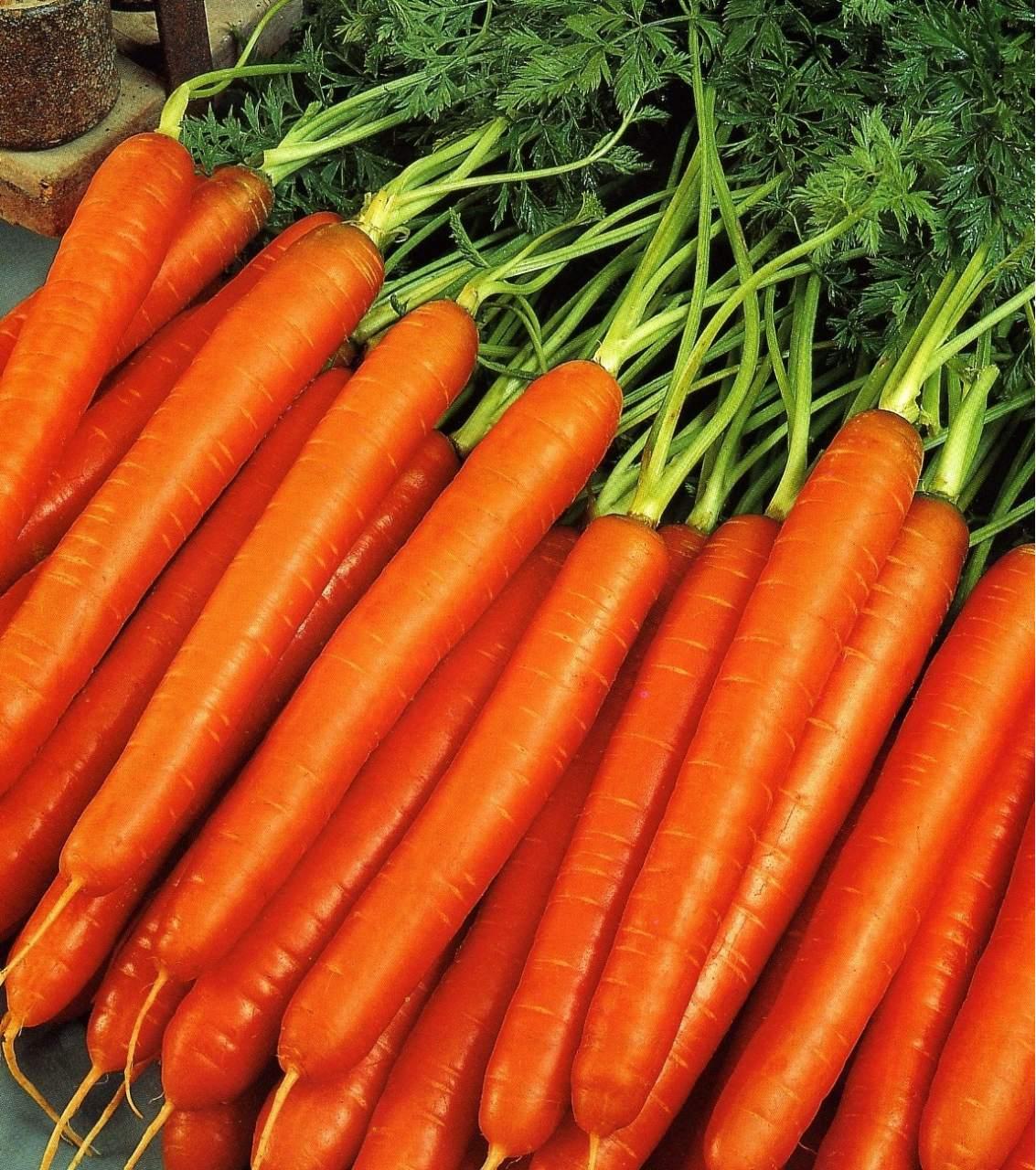 ЧемЧем можно заменить морковь